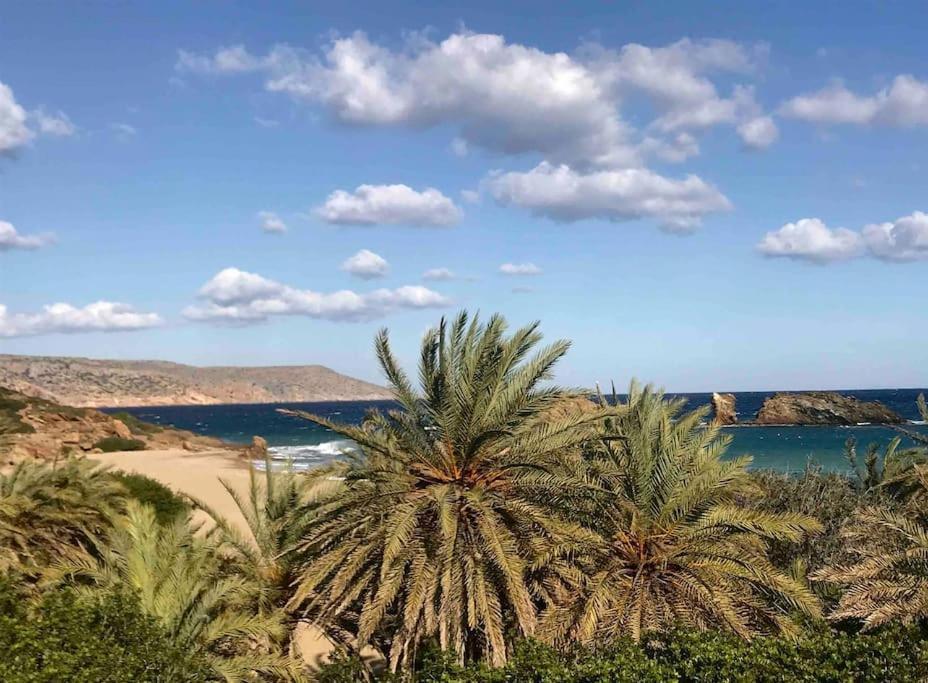 Kalithea Studio 1 Palekastro Dış mekan fotoğraf